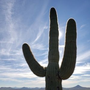 Meet your Posher, Suzanne